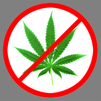 Marijuana & Your Rental Property